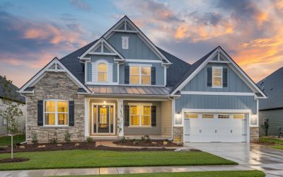 Protect Your Investment: How to Install a Whole House Surge Protector